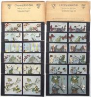 ドイツ製天然色立体写真　Chromoplast-Bild Serie 14/34/35/40/41/42/44/45　8袋