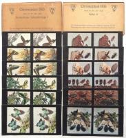 ドイツ製天然色立体写真　Chromoplast-Bild Serie 14/34/35/40/41/42/44/45　8袋