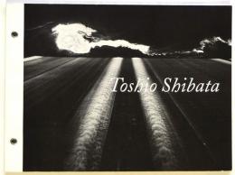 Toshio Shibata：Beyond the Familiar