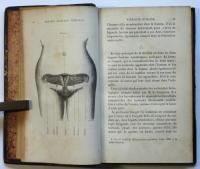 （仏文）不妊症と両性具有　LA STÉRILITÉ Humaine et L’Hermafhrodisme