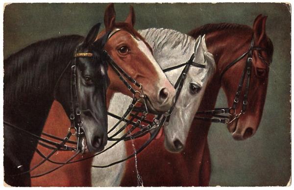 【正規品質保証】 4頭の馬 絵葉書 アルカディア書房 / 15 Serie Marke≪Egemes≫ アンティーク雑貨