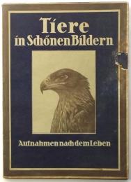 Tiere in Schönen Bildern