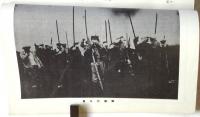 日本解放戦線 三里塚　シナリオ全編・闘争小史・脚注　月刊たいまつ臨時増刊
