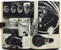 美術手帖　第281号　特集：ルノワール/新連載＝世界画壇のトップ・レディ