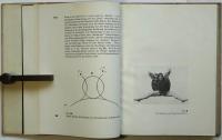 PUNKT UND LINIE ZU FLÄCHE　bauhaus bücher 9