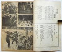 日大斗争　創刊号　特集=日大闘争・その政治的総括