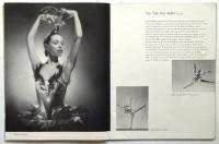 The New York City Ballet　Eighth New York Season　チラシ共
