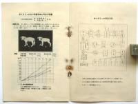 現代栄養学説とポリタミン