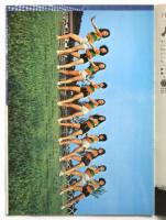 日本劇場　'71-21 「夏のおどり」