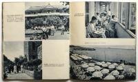 労働保護　新中国写真文庫