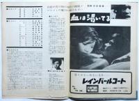 総天然色「日本の夜と霧」パンフレット　松竹NEWS