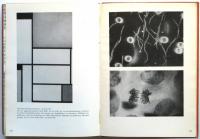 Mechanisierte Grafik　Piet Zwart旧蔵