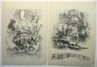 NIEVA 24 esquisses lithographiques