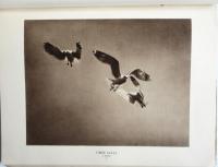 XXIVe Salon International d'Art Photographique de Paris 1929