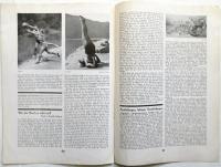 Neue Hauswirtschaft 　heft 6 Juni 1932