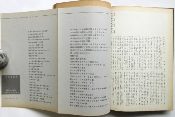 美術手帖 155号 臨時増刊〈絵画の技法と絵画のゆくえ〉河原温ほか