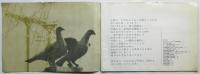 朝日の読者 1963