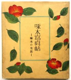 啄木写真帖－啄木の生涯－