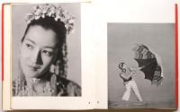 作画の実際 私の写真集