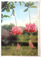中国画報　1965.9　通巻第165号