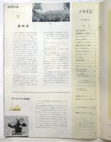 中国画報　1966.1　通巻第169号