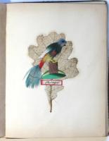 ヴィクトリア朝時代英国風景銅版画・鶏卵紙豆古写真・押し花等貼交帖