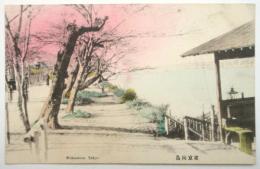絵葉書〈東京向島〉