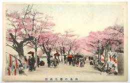絵葉書〈向島の桜花満開〉