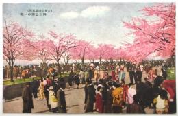 絵葉書〈隅田公園の一部〉(大東京浅草名所)
