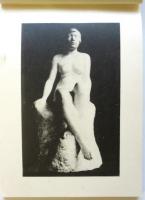美術裸體美人寫眞画集　第壹輯