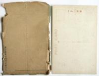 平和記念東京博覧會 實况繪葉書　15枚