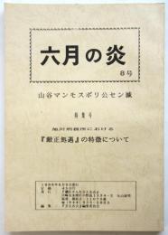 六月の炎 8号　特集号:旭川刑務所における「厳正処遇」の特徴について