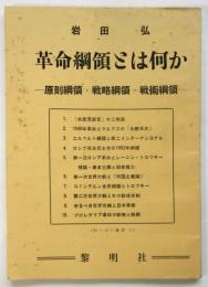 革命綱領とは何か－原則綱領・戦略綱領・戦術綱領－
