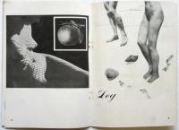 美しき肉体 COMPOSITIONS OF THE BODY