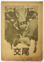 交尾　岩合徳光動物写真集