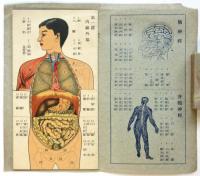 新案 人体解剖自在図