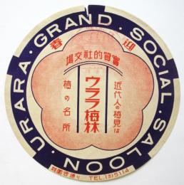 実質的社交場「ウララ梅林」チラシ