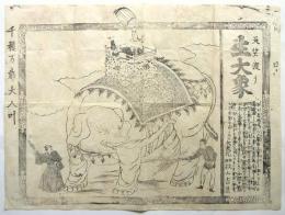 天竺渡り 生大象　辻ビラ