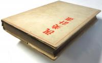 汎美計画