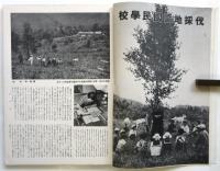 婦人画報　第452号