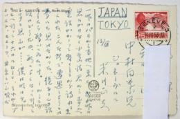 米川正夫 絵葉書 中村白葉宛