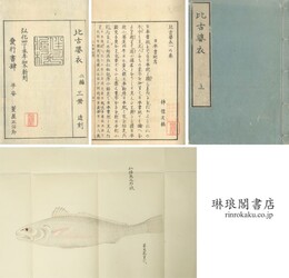 比古婆衣 一・二の巻