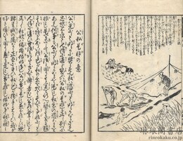 国恩教諭 実能名留樹