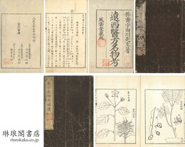 遠西医方名物考 三十六巻 補遺九巻