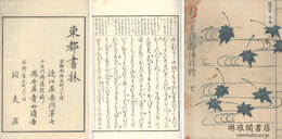 おちくぼ物語注釈