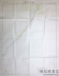 額済納河 新疆甘粛二十五万分一図45号