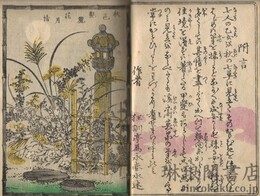 秋色艶麗 処女七種 七編