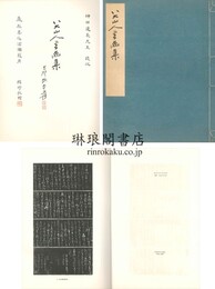 八大山人書画集