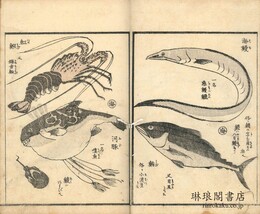 画本早満奈飛　三篇