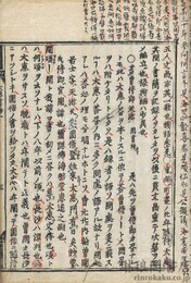 大慧普覚禅師書